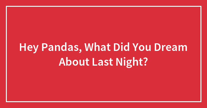 Hey Pandas, What Did You Dream About Last Night?