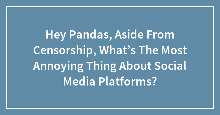 Hey Pandas, Aside From Censorship, What’s The Most Annoying Thing About Social Media Platforms?