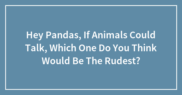 Hey Pandas, If Animals Could Talk, Which One Do You Think Would Be The Rudest?
