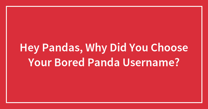 Hey Pandas, Why Did You Choose Your Bored Panda Username? (Closed)