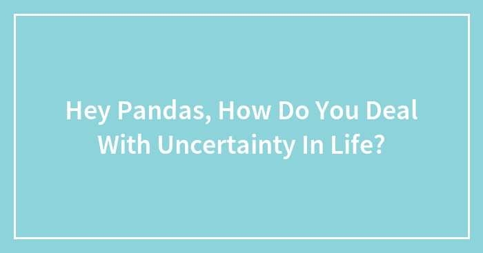 Hey Pandas, How Do You Deal With Uncertainty In Life? (Closed)