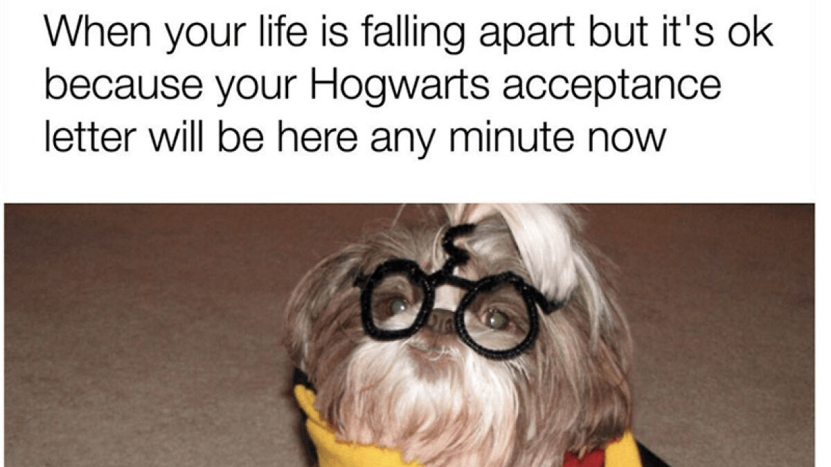 I Collected 16 Relatable Memes