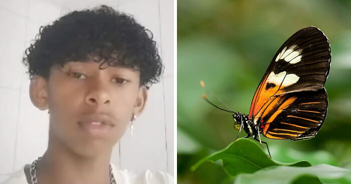 14YO Passes Away After Injecting “Butterfly Remains” As Police Investigates Online “Challenge”