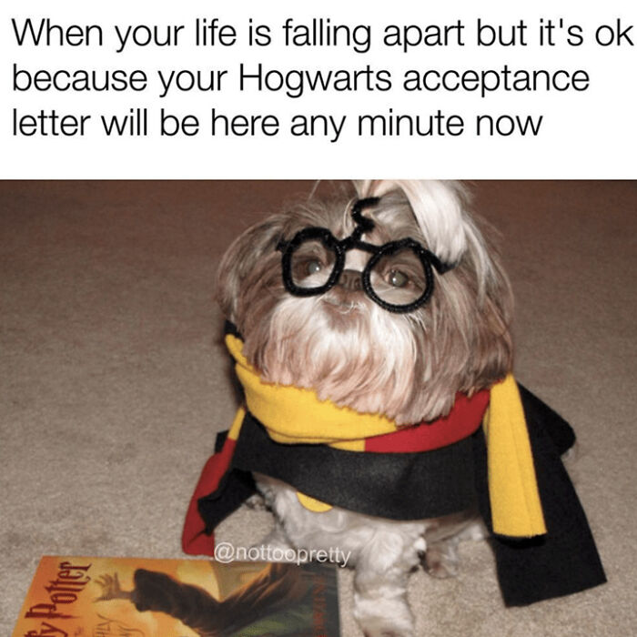 I Collected 16 Relatable Memes