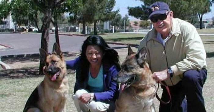 Gene Hackman Investigators Share Update On The Dogs That Survived