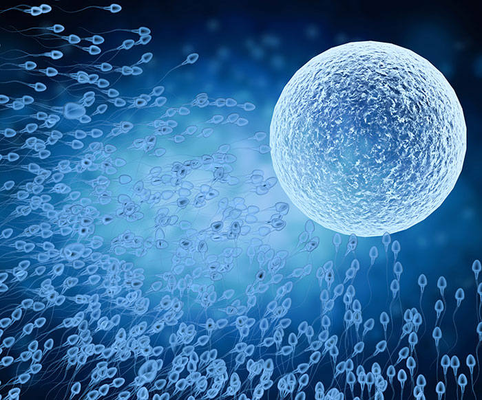 Sperm approaching an egg, representing conception in a medical context. Sperm approaching an egg, representing conception in a medical context.