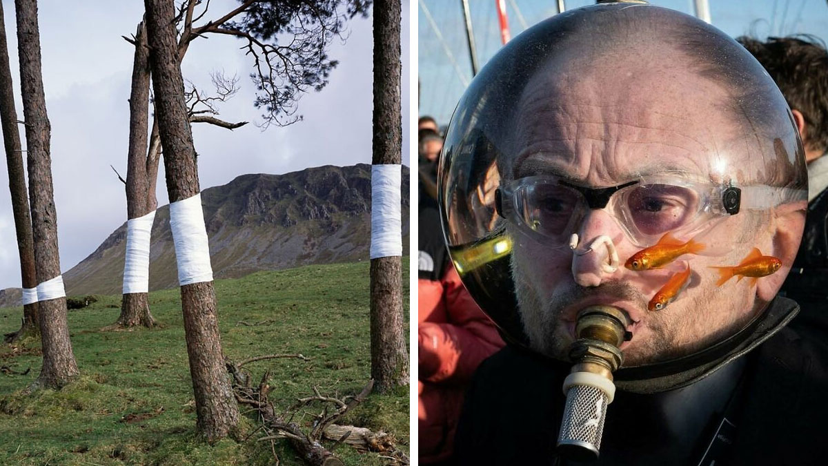 30 Unhinged Pics That Prove The World Is A Strange, Strange Place