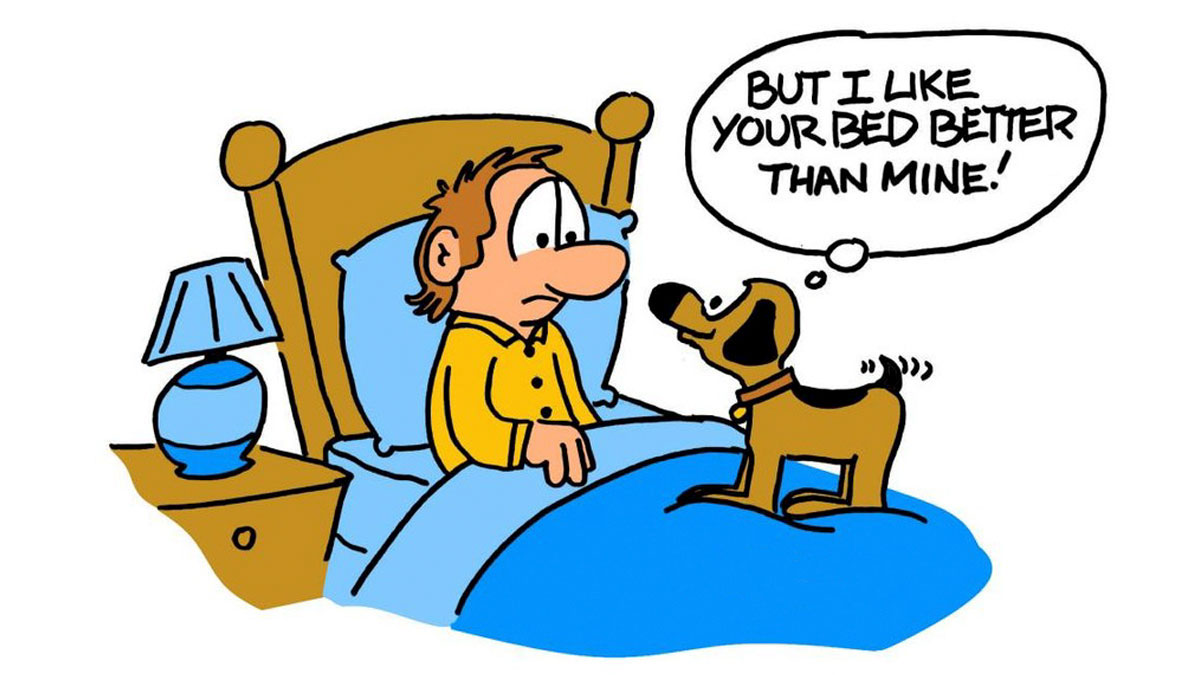 30 Comedic Dog Cartoons By GMeyer That Capture The Fun And Chaos Of Life With A Pup