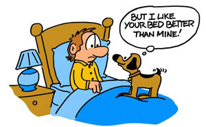 79 Funny Dog Cartoons By GMeyer That Might Make Every Dog Owner Chuckle
