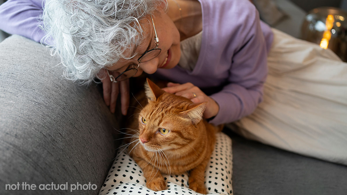 “[Am I The Jerk] For Telling My Elderly Mother She Can’t Bring Her Kittens To Live With Me?”