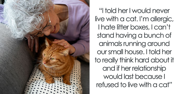 “[Am I The Jerk] For Telling My Elderly Mother She Can’t Bring Her Kittens To Live With Me?”