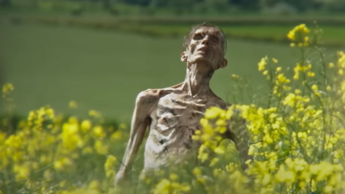 Everything We Know About The 28 Years Later Cast So Far