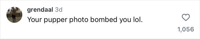 Comment saying "Your pupper photo bombed you lol" with 1,056 likes. Comment saying "Your pupper photo bombed you lol" with 1,056 likes.