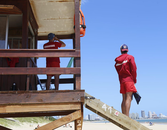 Lifeguards on duty at the beach, one observing the ocean, prepared for any emergencies. Lifeguards on duty at the beach, one observing the ocean, prepared for any emergencies.