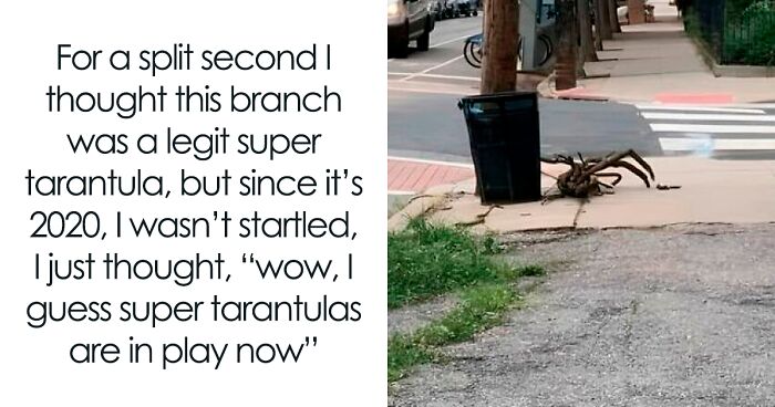 40 Hilariously Silly Jokes And Memes From Dads Who Just Can’t Help It (New Pics)