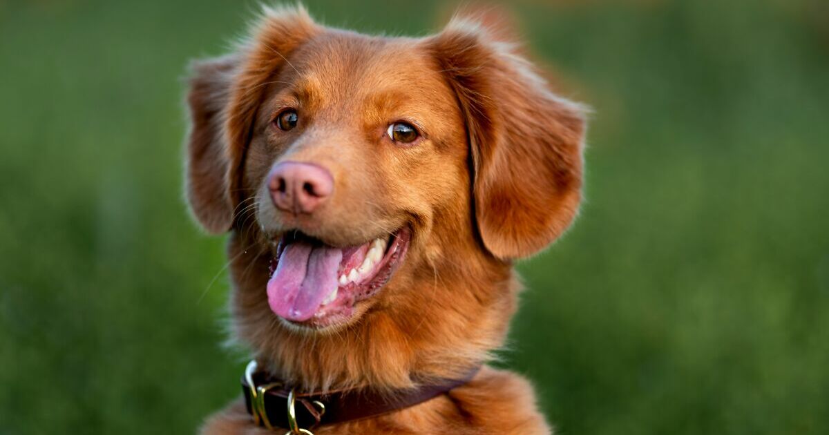 Hey Pandas, Share A Picture To That Might Brighten Someone’s Mood