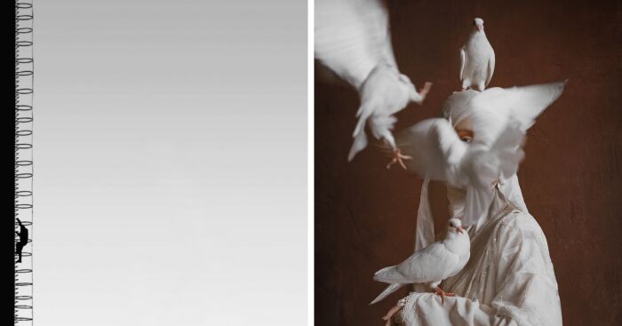 Celebrating Fine Art Photography: The 2024 Bifa Winners (15 Pics)