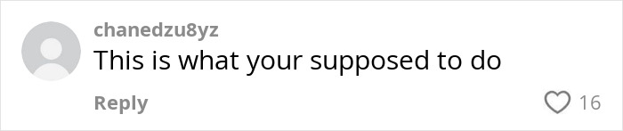 Text comment on a video titled "Passenger Tastes Instant Karma," displaying a user's response. Text comment on a video titled "Passenger Tastes Instant Karma," displaying a user's response.