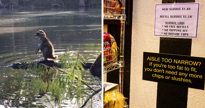 “Only In Florida”: 50 Unhinged Things People Witnessed Happening In The Sunshine State