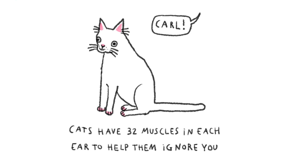 30 Delightfully Silly Animal Illustrations Drawn By This Tattoo Artist