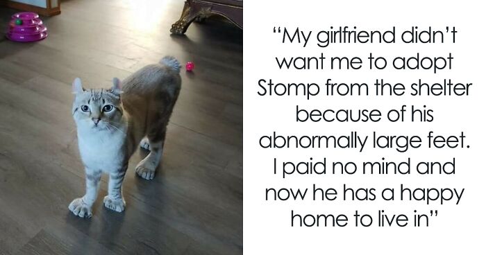 40 Posts Showcasing Examples Of Something That Reached “Boss Level” (New Pics)