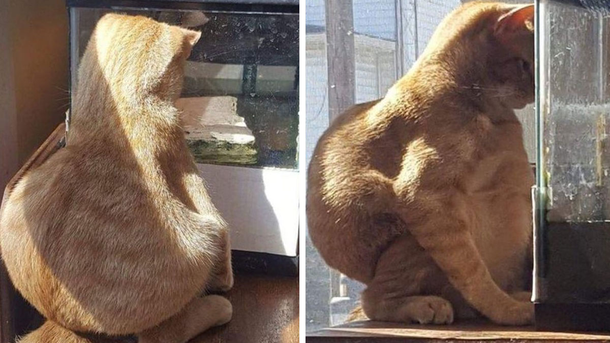 50 Posts That Have No Reason To Be This Funny (New Pics)