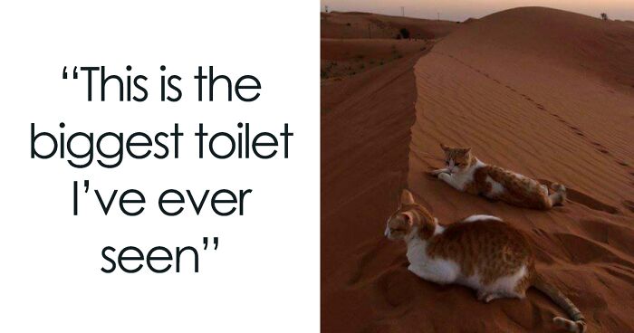 50 Memes And Jokes You Shouldn’t Read If You Don’t Want To Get Smile Wrinkles