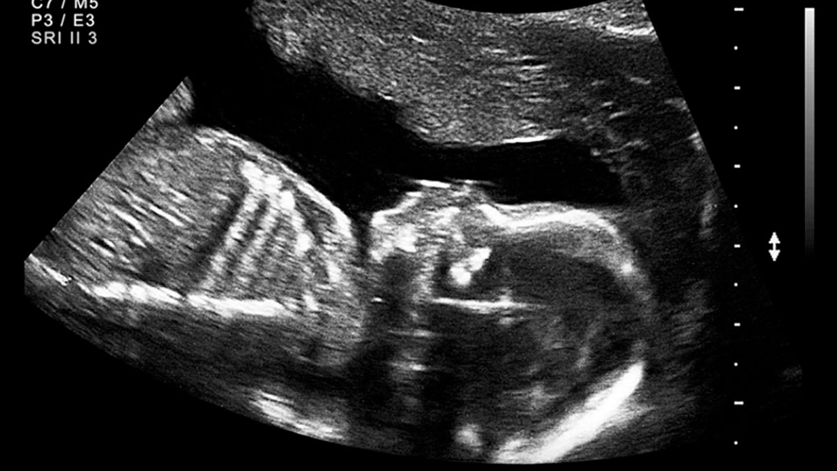 These 40 Hilarious Memes Prove Millennials Still Have The Best Sense Of Humor (New Pics)