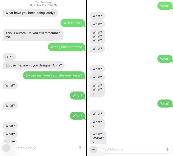 Text exchange showing funny scammer responses repeatedly saying "What?"