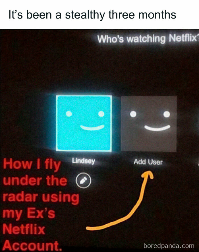 Netflix meme showing user profiles, with humorous text about using an ex's account.