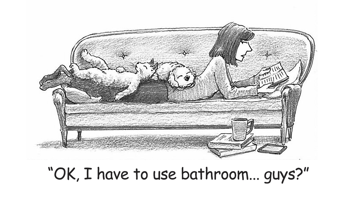 This New Yorker Magazine Cartoonist Creates Clever One-Panel Comics (30 New Pics)