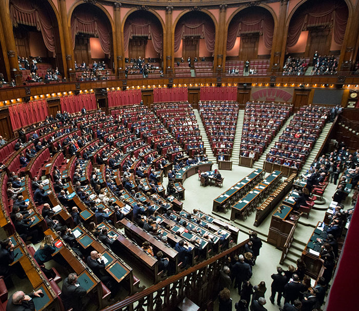 People Stunned As Beavers Complete $1.2M Project That Government Couldn't In 7 Years People Stunned As Beavers Complete $1.2M Project That Government Couldn't In 7 Years