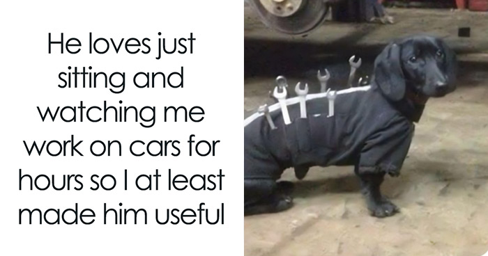 “Your Daily Dose Of Funniest Memes”: 50 Hilarious Posts From This Dedicated Online Group