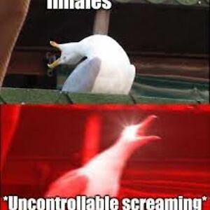 eleanorcorbin avatar