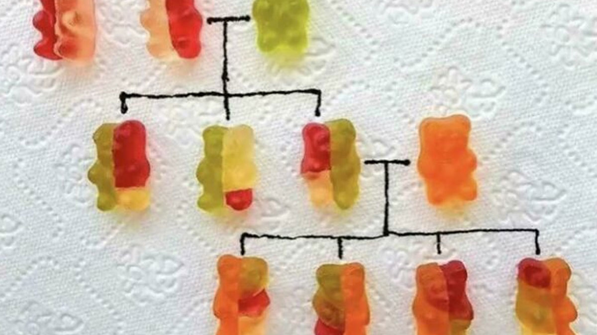 30 Charts That No One Probably Needed, But Here They Are Anyway