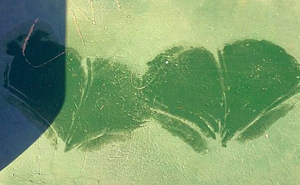 This Photographer Turns Ordinary Moments In Extraordinary Images (70 Pics)