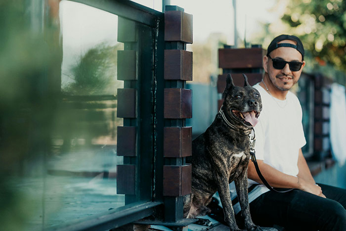 Guy Tells Fiancée To Recover In Hotel Room After Surgery So As Not To Not Disturb His Dog Guy Tells Fiancée To Recover In Hotel Room After Surgery So As Not To Not Disturb His Dog