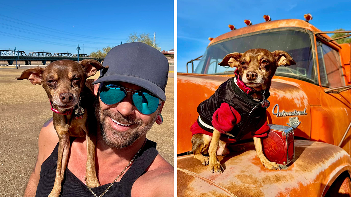 Paul Guilbeault Never Gave Up On His Lost Dog, And After 8 Years They’re Finally Together Again