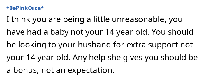 BePinkOrca's comment emphasizes parental expectations from a teenager after a new baby enters the family. BePinkOrca's comment emphasizes parental expectations from a teenager after a new baby enters the family.
