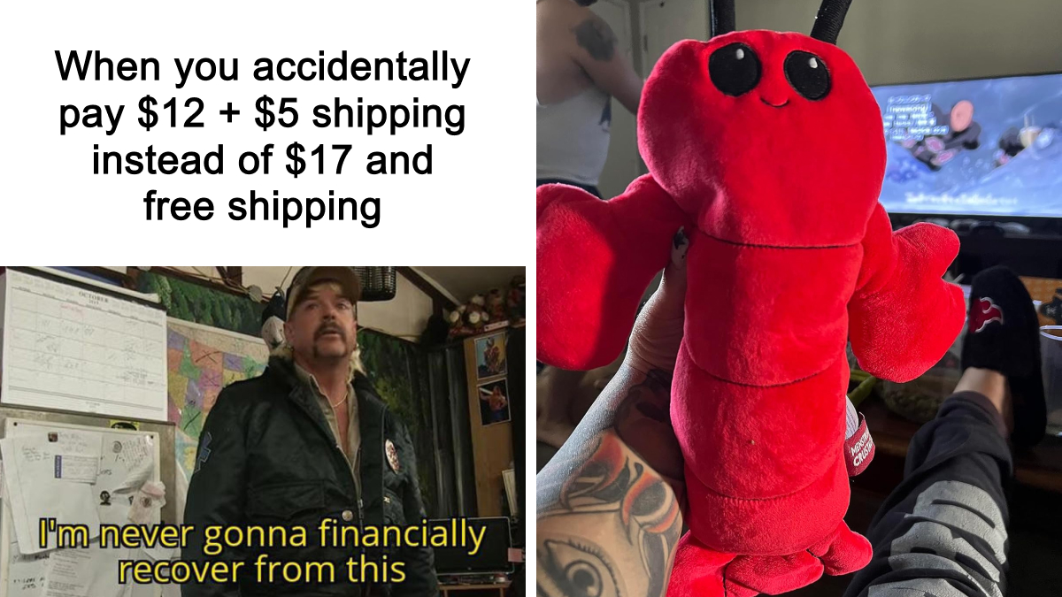 We Went Deep Into Amazon’s Strange Side And Found These 22 Gems