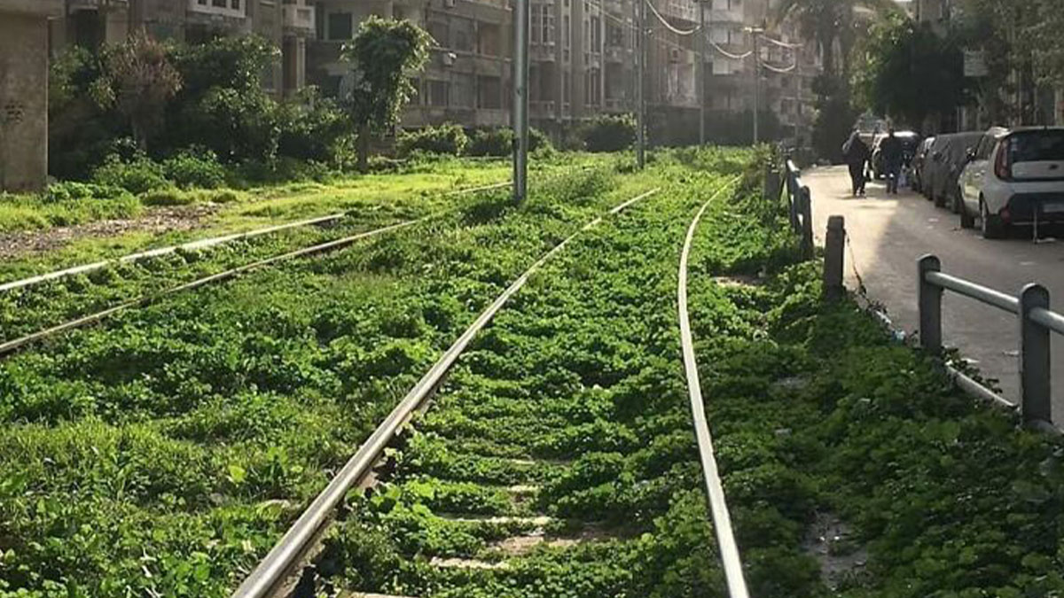 96 Pics That Showcase Nature Taking Over Lost Civilization (New Pics)96 Pics That Showcase Nature Taking Over Lost Civilization (New Pics)