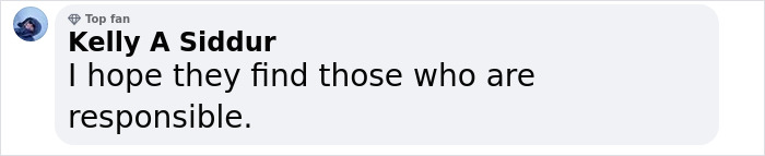 Comment on American Airlines flight incident, stating hope to find responsible parties. Comment on American Airlines flight incident, stating hope to find responsible parties.