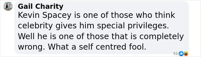Text screenshot discussing Kevin Spacey and celebrity privileges criticism. Text screenshot discussing Kevin Spacey and celebrity privileges criticism.