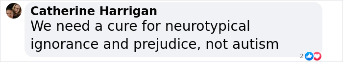 Comment highlighting a perspective on autism awareness. Comment highlighting a perspective on autism awareness.