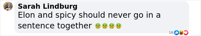 Comment on Elon Musk, expressing disapproval with four queasy face emojis. Comment on Elon Musk, expressing disapproval with four queasy face emojis.