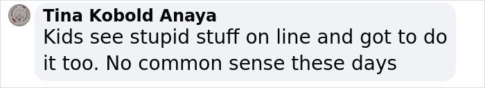 Comment discussing online challenge risks among teens, highlighting lack of common sense. Comment discussing online challenge risks among teens, highlighting lack of common sense.