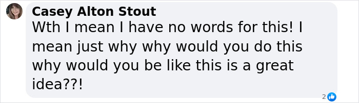 Screenshot of a comment reacting to a tragic 14YO incident involving an online challenge with butterfly remains. Screenshot of a comment reacting to a tragic 14YO incident involving an online challenge with butterfly remains.