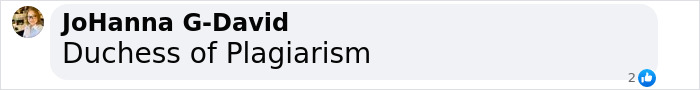 “Comment reads 'Duchess of Plagiarism' related to Meghan Markle and rebranding controversy.” “Comment reads 'Duchess of Plagiarism' related to Meghan Markle and rebranding controversy.”