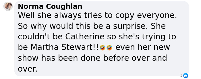 Comment criticizing Meghan Markle's rebranding and alleged logo theft. Comment criticizing Meghan Markle's rebranding and alleged logo theft.
