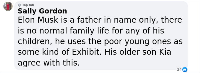 Facebook comment criticizing Elon Musk's family life and mentioning his sons. Facebook comment criticizing Elon Musk's family life and mentioning his sons.